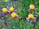 DSCN6737