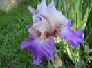 DSCN6752