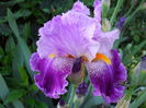 DSCN6749