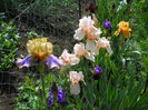 DSCN6743
