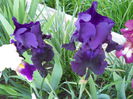 DSCN6757
