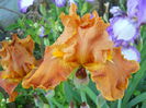 DSCN6764