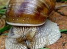 DSC00507
