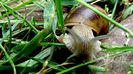 DSC00509