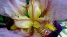 DSC00540