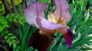 DSC00541