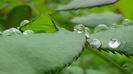 DSC00561