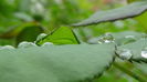 DSC00562
