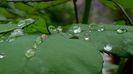 DSC00566