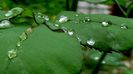 DSC00567