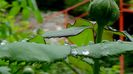 DSC00569