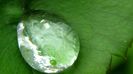 DSC00588