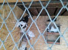 IMG_20150517_115857