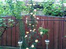 IMG_20150514_073651