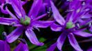 DSC00620
