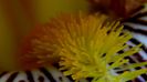 DSC00641