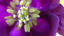 DSC00598