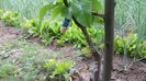 20150514_162052