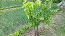 20150514_162423