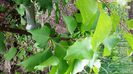 20150516_171810