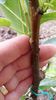 20150516_173626