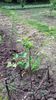 20150516_173645