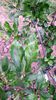 20150516_185732