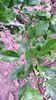 20150516_185740
