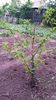 20150516_185852