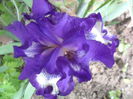 SAM_5139