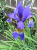 SAM_5142