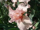 P1220234