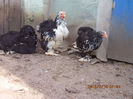 103010104_OMPMPNZ