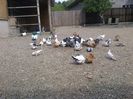 2015-05-14-1043