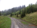 Drumul spre stana