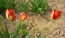 Fotografie9330