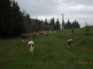 Incepe ploaia