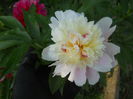 DSCN9575