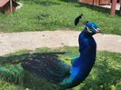 20150518_125645