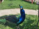 20150518_125642