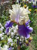 DSCN6779