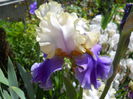 DSCN6780