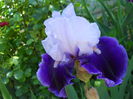 DSCN6782