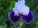 DSCN6783
