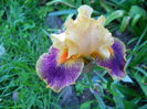 DSCN6789