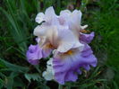 DSCN6792