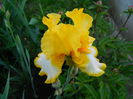 DSCN6801