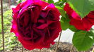 DSC02680