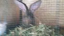 20150518_153032