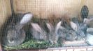 20150518_152827